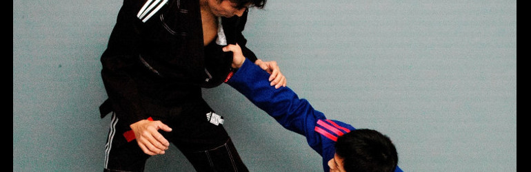 #htmlcaption4 adidas jiu-jitsu gi